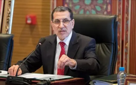 رئيس الحكومة:  خطة إنعاش الاقتصاد الوطني ستكون جاهزة خلال الأسابيع القادمة