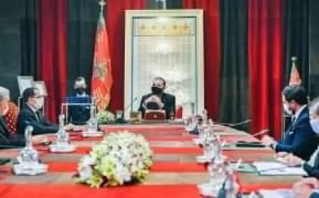 جلالةالملك يترأس جلسة عمل لتدارس عملية التلقيح ضد كوفيد19