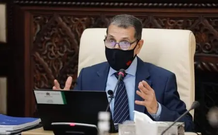 العثماني يطمئن المغاربة بشأن تلقيح فيروس كورونا