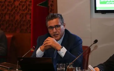 اخنوش: المغرب قام بمبادرات مهمة من أجل إنعاش الاقتصاد بفضل السياسة الاستباقية لجلالة الملك