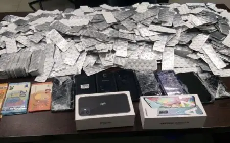 إحباط تهريب كمية كبيرة من "القرقوبي" عبر ميناء طنجة المتوسط