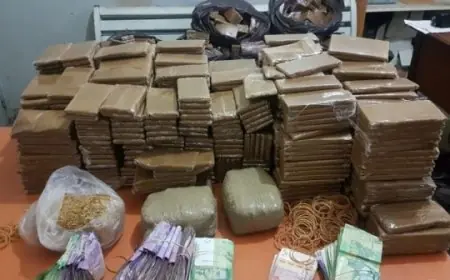 ترويج المخدرات والمؤثرات العقلية يقود شخصين الى الاعتقال بفاس