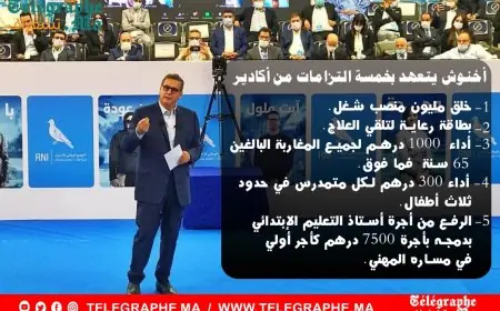 من بينها خلق مليون منصب شغل وتوفير "شهرية" للمسنين .. أخنوش يكشف 5 إلتزامات حزبه من اكادير