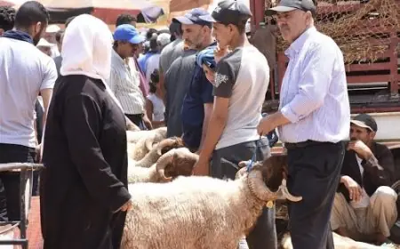 الابراهيمي: لابد من الالتزام بالتدابير الاحترازية لتفادي تشديد الاجراءات خلال عيد الاضحى
