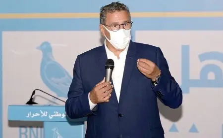 عزيز أخنوش: سنشرع في مشاورات مع الأحزاب السياسية لتكوين أغلبية حكومية منسجمة ومتماسكة