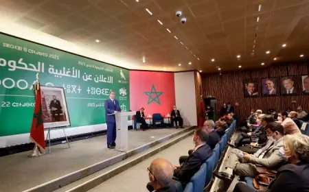 أخنوش: " الأغلبية الحكومية ستكون في خدمة المواطنين والبرنامج الحكومي سيكون أساس التعاقد معهم"