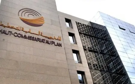 المندوبية السامية للتخطيط .. الأشخاص البالغين 60 سنة فأكثر يمثلون حوالي 12 في المائة من مجموع السكان