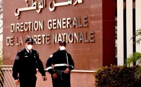 الناظور.. تفكيك شبكة إجرامية تنشط في التهريب الدولي للمخدرات