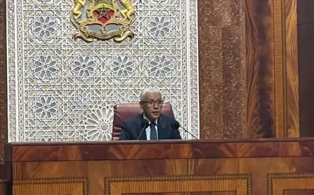 رشيد الطالبي العلمي رئيسا لمجلس النواب