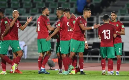 المنتخب المغربي يرتقي الى الرتبة 29 عالميا في تصنيف الفيفا