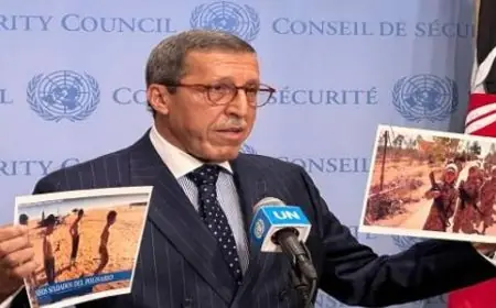 عمر هلال يطالب بمساءلة الجزائر بخصوص التجنيد العسكري للأطفال في مخيمات تندوف