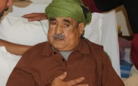 اخنوش يتكفل بمصاريف علاج الفنان "بيزماون"