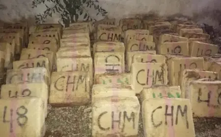 الدارالبيضاء.. حجز حوالي 9 أطنان من المخدرات