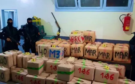 حجز أزيد من طن من المخدرات بطنجة