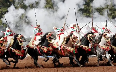 إدراج "التبوريدة" في قائمة التراث الثقافي غير المادي لليونسكو