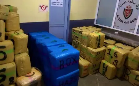 حجز 3 أطنان من مخدر الشيرا بأكادير