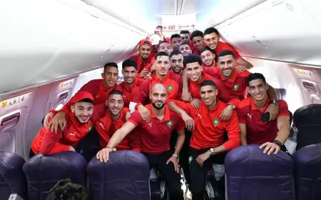 التشاؤم يرافق مشاركة الأسود في كان الكاميرون