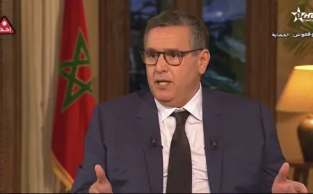 اخنوش: الناس يهمهم العمل وليس الكلام