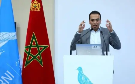 لحسن السعدي: الحكومة لم تلجأ للتباكي بل حافظت على نبرة الأمل