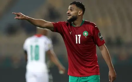 الكاف تقرر رفع عقوبة الإيقاف عن بوفال وشاكلا