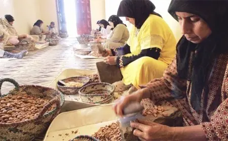 إرتفاع اثمنة الأركان يهدد التعاونيات المنتجة