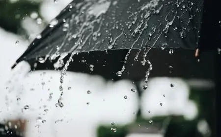 نشرة انذارية.. أمطار قوية وثلوج ورياح مرتقبة بهذه المناطق