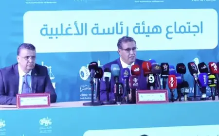 اخنوش: الظروف الحالية ليست عادية والأمور معقدة