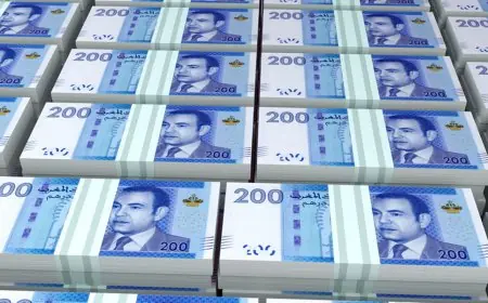 تقرير .. 22 مغربي فقط تتجاوز ثروتهم مليار درهم