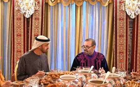 الملك محمد السادس يهنئ محمد بن زايد  انتخابه رئيسا لدولة الإمارات