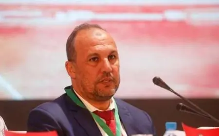 بلقشور رئيسا للعصبة الاحترافية خلفًا لسعيد الناصيري