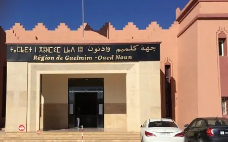 مجلس جهة كلميم وادنون يستنكر "الفعل الشنيع" لتونس في حق المغرب
