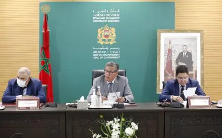 اخنوش يترأس أشغال اجتماع الجنة الوزارية لشؤون المغاربة المقيمين بالخارج وشؤون الهجرة