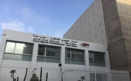 وزير الداخلية يعين كنزة كصيب مديرة للمركز الجهوي للاستثمار بجهة سوس