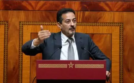 البرلماني "المهاجري" يستقيل من لجنة الداخلية