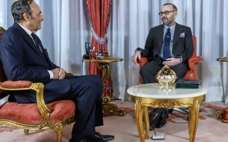 الملك يعين أعضاء المجلس الأعلى للتربية والتكوين والبحث العلمي