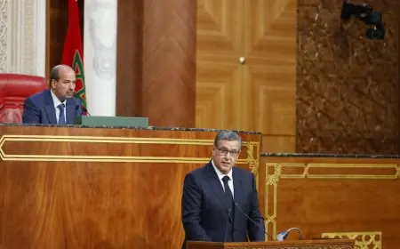 اخنوش: المغرب قطعت اشواطا في ترسيخ مبادئ العدالة الاجتماعية بقيادة جلالة الملك