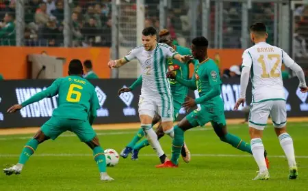 السنغال تهزم الجزائر وتتوج بلقب "الشان"