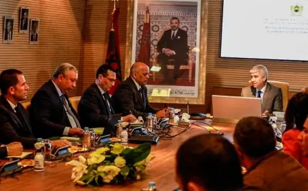 وزير الفلاحة يؤكد على على ضرورة خفض أسعار اللحوم