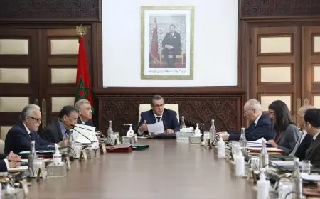 المجلس الحكومي.. اخنوش يؤكد على تعزيز مراقبة الأسواق الوطنية
