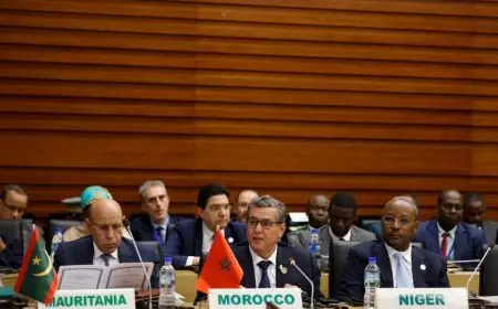 أخنوش: المغرب له مكانة كبيرة بالاتحاد الافريقي