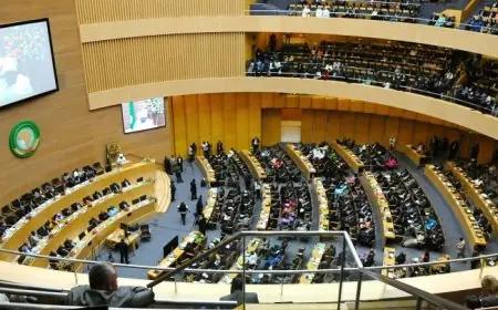 بمشاركة المغرب استئناف اشغال  الدورة 36 للدول الاعضاء بمنظمة الاتحاد الافريقي