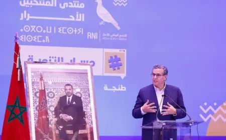 أخنوش .. حزب التجمع الوطني للاحرار لن يحمي المفسدين