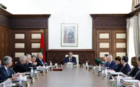 انعقاد المجلس الحكومي وهذا ما تمت المصادقة عليه