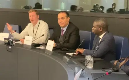 ستراسبورغ …أوزين يتدارس أفق الشراكة بين إفريقيا وأوروبا وسبل توطيدها