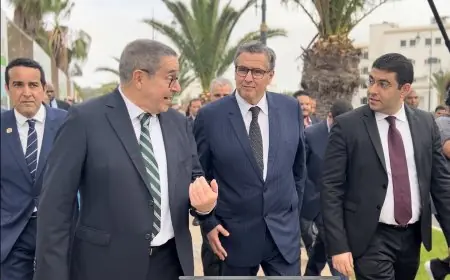 اخنوش يشرف على افتتاح مربد الانبعاث ومتحف الفنون ويزور عدد من المشاريع بأكادير