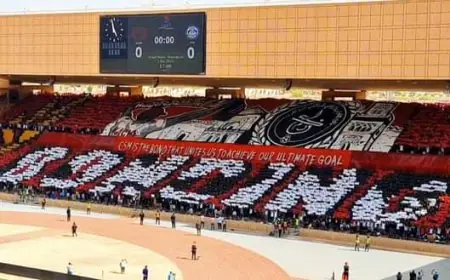 بعد موسم شاق فارس النخيل الى القسم الوطني الثاني