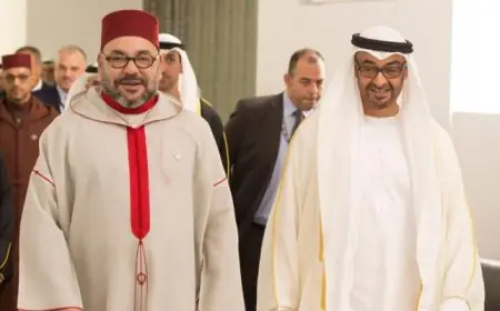 استقبال رسمي للملك محمد السادس بأبوظبي