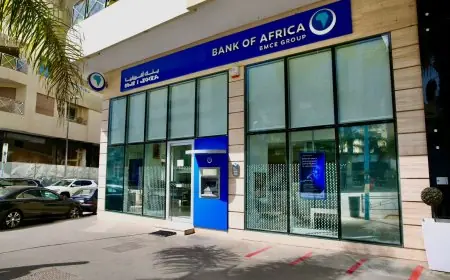 بنك افريقيا يؤكد التزامه بالتمويل المستدام والاقتصاد الأخضر