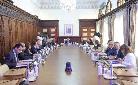 اجتماع مجلس الحكومة ليومه الخميس 2 ماي 2024