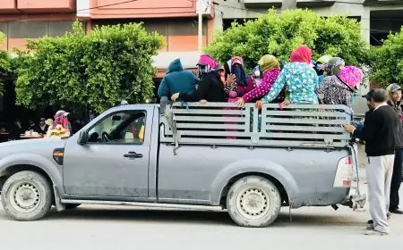 صديقي: وزارة الفلاحة تعمل على حل اشكالية تنقل العاملات و العمال الزراعيين